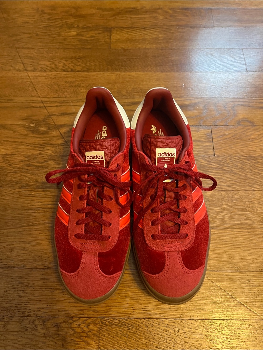 Adidas Gazelle Bold in red